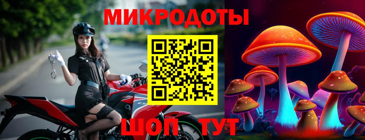Дзержинск  Галлюциногенные грибы прущие грибы  Вход с VPN 